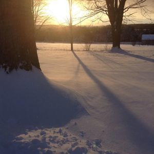 Meet your Posher, Connor